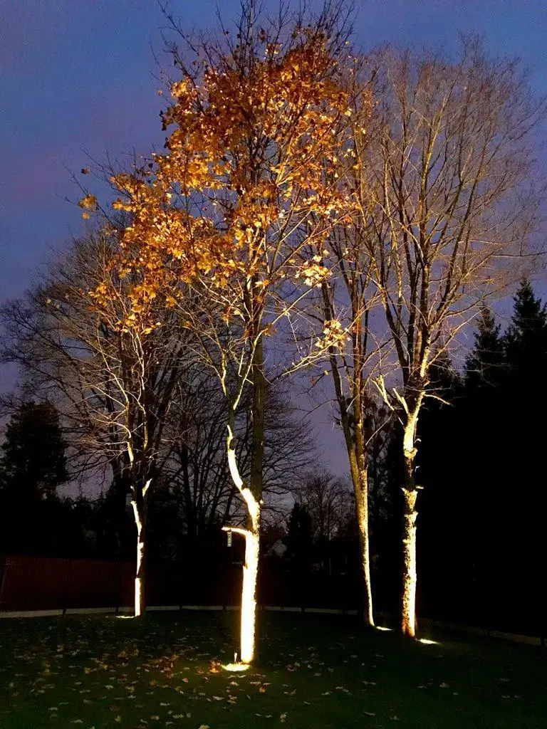 Oświetlenie wysokich drzew oprawami Pabla 4031 E27