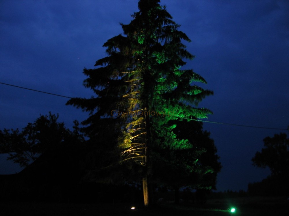 Świerk 15 m światło ciepłe białe i światło zielone