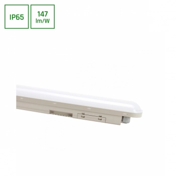 Limea Connect Hermetyk 1200mm 36W 5300lm światło zimne białe IP65 IK08 szara SLI028111CW_PW SpectrumLED