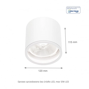 Chloe GU10 AR111 lampa sufitowa IP65 biała okrągła nieruchoma