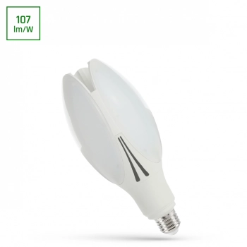 Żarówka LED Parisienne E27 30W 3200lm światło neutralne białe WOJ+80720 SpectrumLED