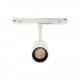 System Shift Smart Spot M reflektorek LED 10W 950lm CCT DIM biały
